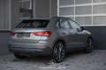 Audi Q3 35 2.0 TDI Pickerl NEU Grau - thumbnail 2