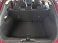 Ford Puma ST-Line X - 1.0i mHev 125cv - New - Stock - thumbnail 8