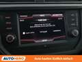 SEAT Ibiza 1.0 TSI FR Grau - thumbnail 24