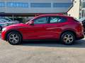 Alfa Romeo Stelvio Stelvio 2.2 Turbodiesel 160 CV AT8 RWD Sprint Rojo - thumbnail 6