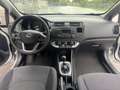 Kia Rio Edition 7 Servo Klima*** Silber - thumbnail 13