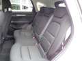 Mazda CX-5 Sports-Line AWD Automatik inkl. AHK Weiß - thumbnail 7