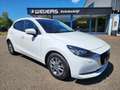 Mazda 2 1.5 Skyactiv-G Comfort Automaat, Clima, Navi, Andr Wit - thumbnail 12