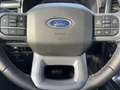 Ford F 150 F-150 XLT Launch Edition 4x4 AHK+360°+LED Gris - thumbnail 13