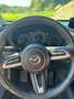 Mazda CX-30 CX-30 SKYACTIV-G 2.0 M-Hybrid 150 Grau - thumbnail 12