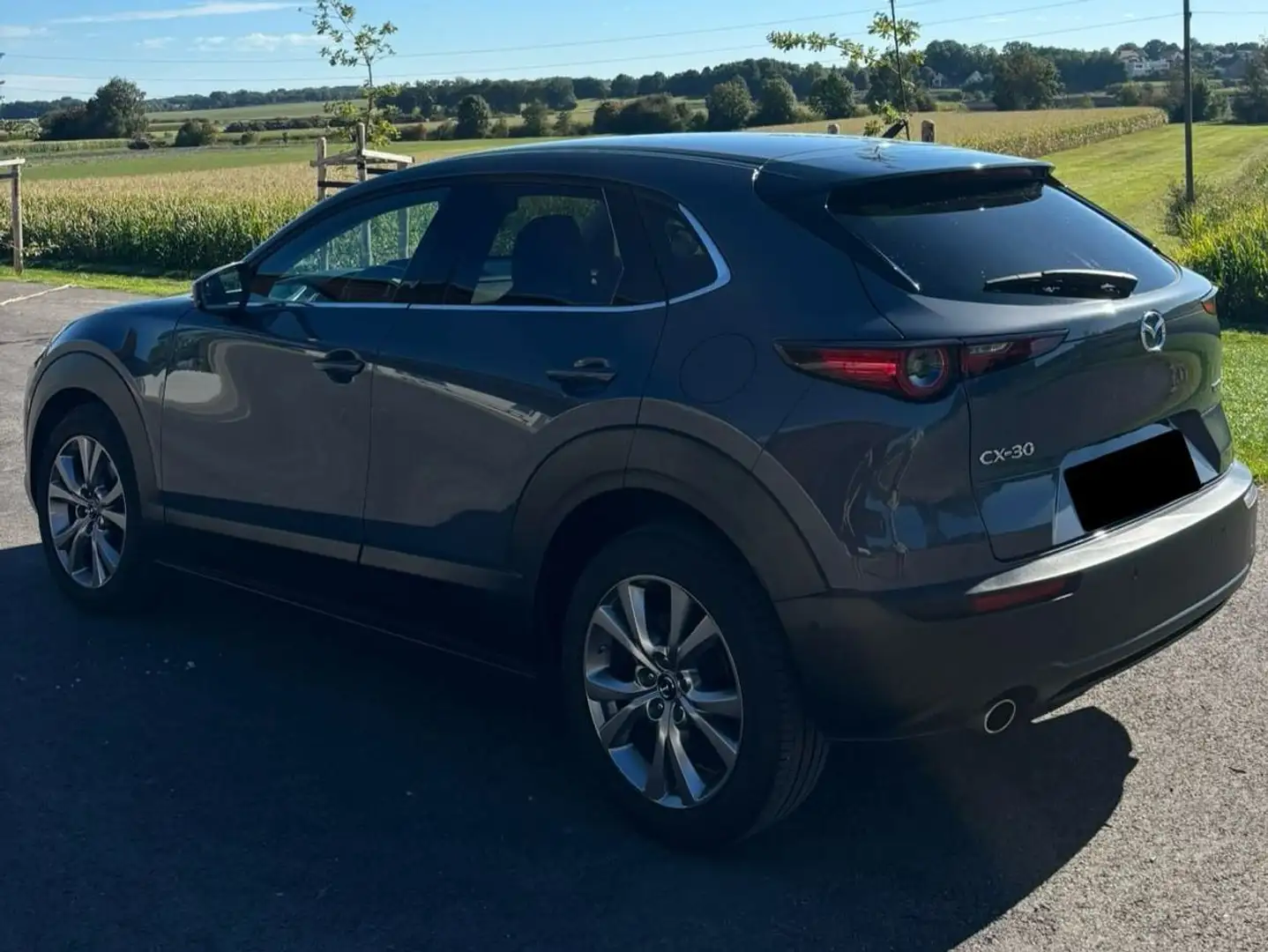 Mazda CX-30 CX-30 SKYACTIV-G 2.0 M-Hybrid 150 Grau - 2