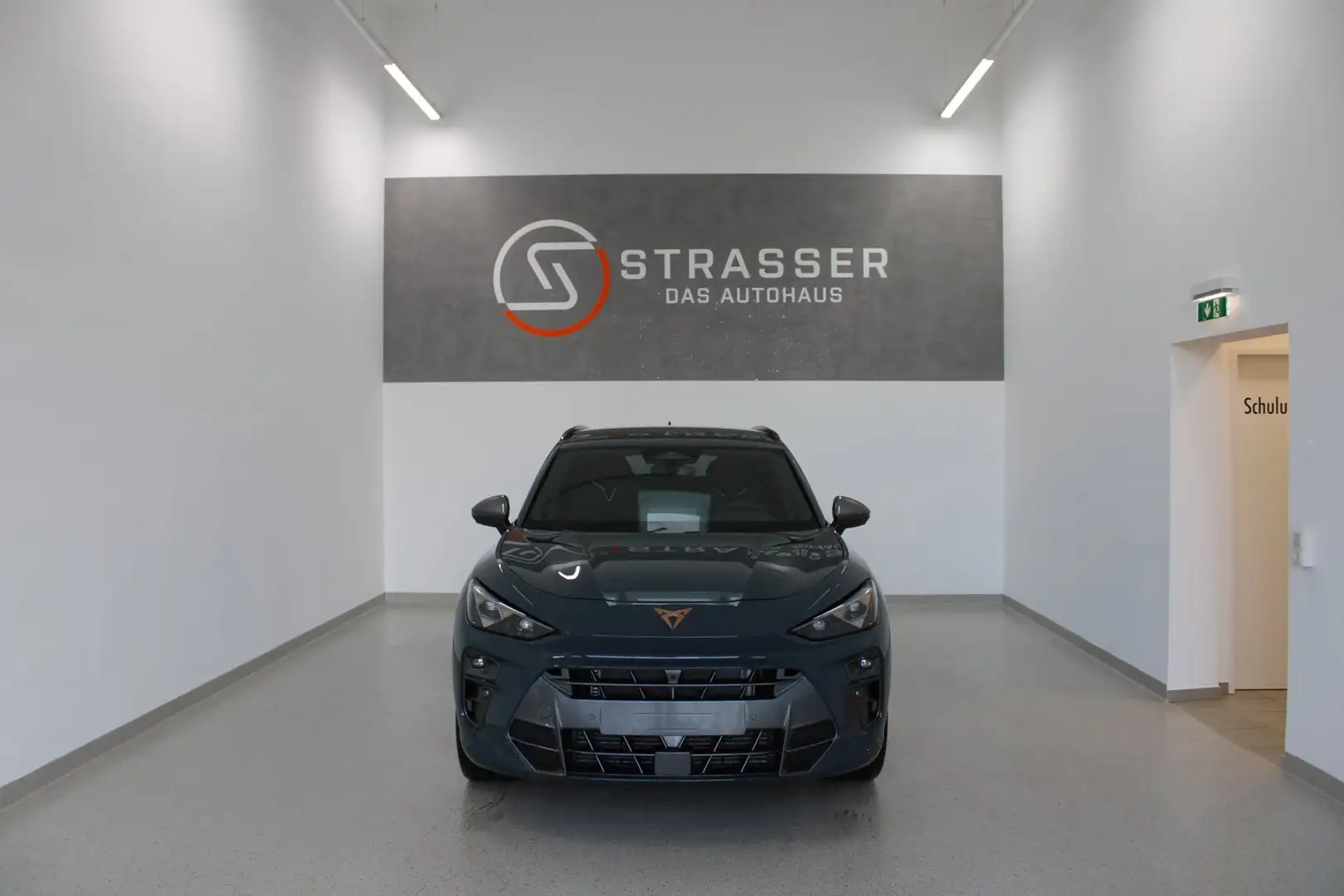 CUPRA Terramar 2.0 TSI 204 PS DSG 4Drive Blau - 2