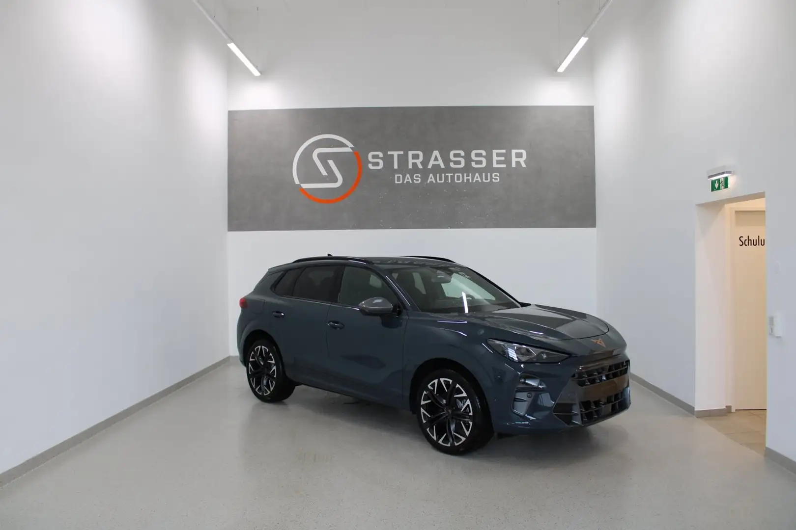 CUPRA Terramar 2.0 TSI 204 PS DSG 4Drive Blau - 1