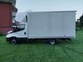 Iveco Daily 2.3 MLJ 35-140 136CV 3 POSTI BOX + IVA Bianco - thumbnail 7