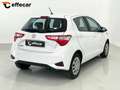 Toyota Yaris 1.0 72 CV 5 porte Cool Bianco - thumbnail 6