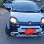 Fiat New Panda PANDA CITY CROSS HYBRID 70 CV Alb - thumbnail 1