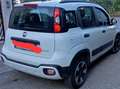 Fiat New Panda PANDA CITY CROSS HYBRID 70 CV Alb - thumbnail 2