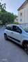 Fiat New Panda PANDA CITY CROSS HYBRID 70 CV Alb - thumbnail 4