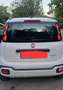 Fiat New Panda PANDA CITY CROSS HYBRID 70 CV Alb - thumbnail 3