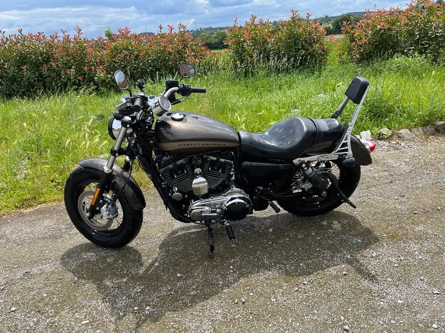 Harley-Davidson 1200 Custom - 1