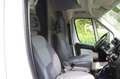 Fiat Ducato Gas en benzine 35 3.0 Natural Power L4H2 zeer gesc Blanc - thumbnail 17
