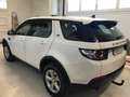Land Rover Discovery Sport Discovery Sport 2.2TD4 HSE 4x4 Aut. 150 HSE Blanco - thumbnail 2