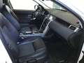 Land Rover Discovery Sport Discovery Sport 2.2TD4 HSE 4x4 Aut. 150 HSE Blanco - thumbnail 6