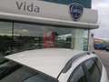 Alfa Romeo 159 2.0 170 CV JTDM Bianco - thumbnail 4