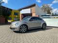 Volkswagen Beetle Exclusive Sport Automatik 19% MwSt. ausweisbar !!! Gri - thumbnail 3