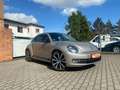 Volkswagen Beetle Exclusive Sport Automatik 19% MwSt. ausweisbar !!! Szürke - thumbnail 1