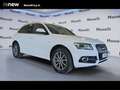 Audi Q5 Advanced Plus quattro S tronic 2.0 TDI 190cv rif. Bianco - thumbnail 1
