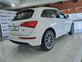 Audi Q5 Advanced Plus quattro S tronic 2.0 TDI 190cv rif. Bianco - thumbnail 7