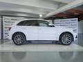 Audi Q5 Advanced Plus quattro S tronic 2.0 TDI 190cv rif. Bianco - thumbnail 2