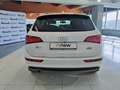Audi Q5 Advanced Plus quattro S tronic 2.0 TDI 190cv rif. Bianco - thumbnail 6
