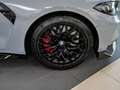 BMW M4 CS RFK NAVI LED V+H DAB H/K 19/20" Gris - thumbnail 7