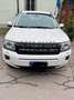 Land Rover Freelander Freelander II 2011 2.2 sd4 SE 4wd 190cv auto Blanc - thumbnail 1