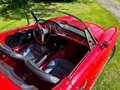 Alfa Romeo Giulia Spider VELOCE 101.18 Rojo - thumbnail 3