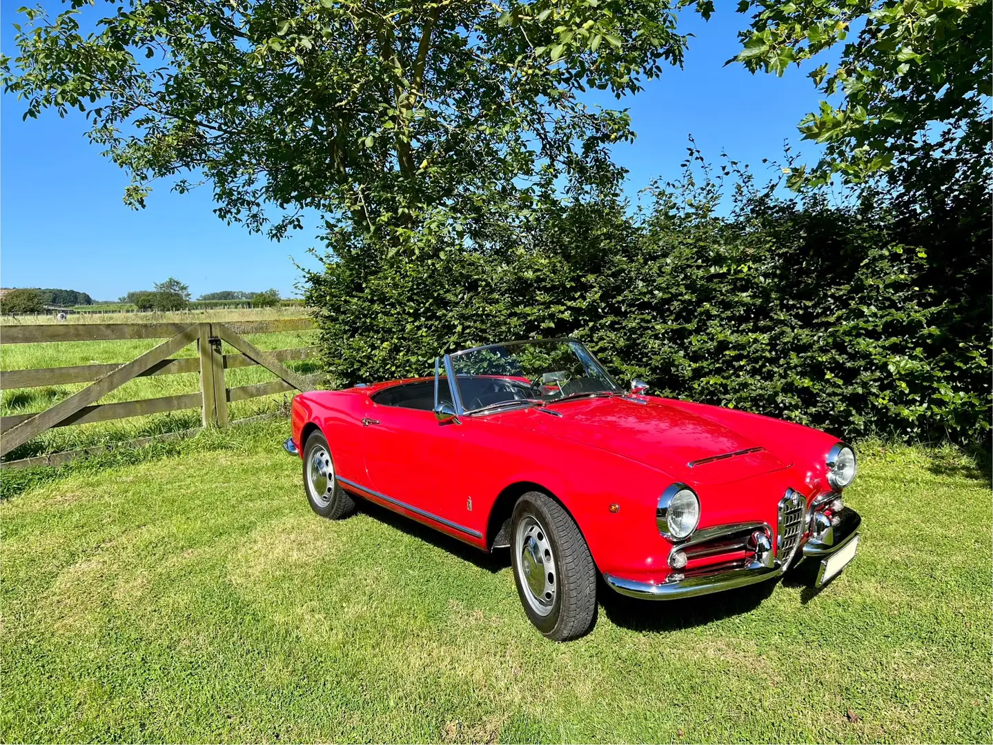 Alfa Romeo Giulia Spider VELOCE 101.18 Rojo - 1