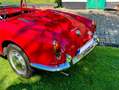 Alfa Romeo Giulia Spider VELOCE 101.18 Rojo - thumbnail 12