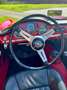 Alfa Romeo Giulia Spider VELOCE 101.18 Rojo - thumbnail 4