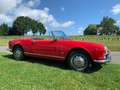Alfa Romeo Giulia Spider VELOCE 101.18 Rojo - thumbnail 2