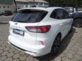 Ford Kuga 1.5 Ecoboost ST-Line+LED+ACC+Panorama Bianco - thumbnail 5