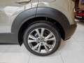 Mazda CX-30 2.0L e-Skyactiv-G 150 CV M Hybrid 2WD Exclusive Li Verde - thumbnail 7