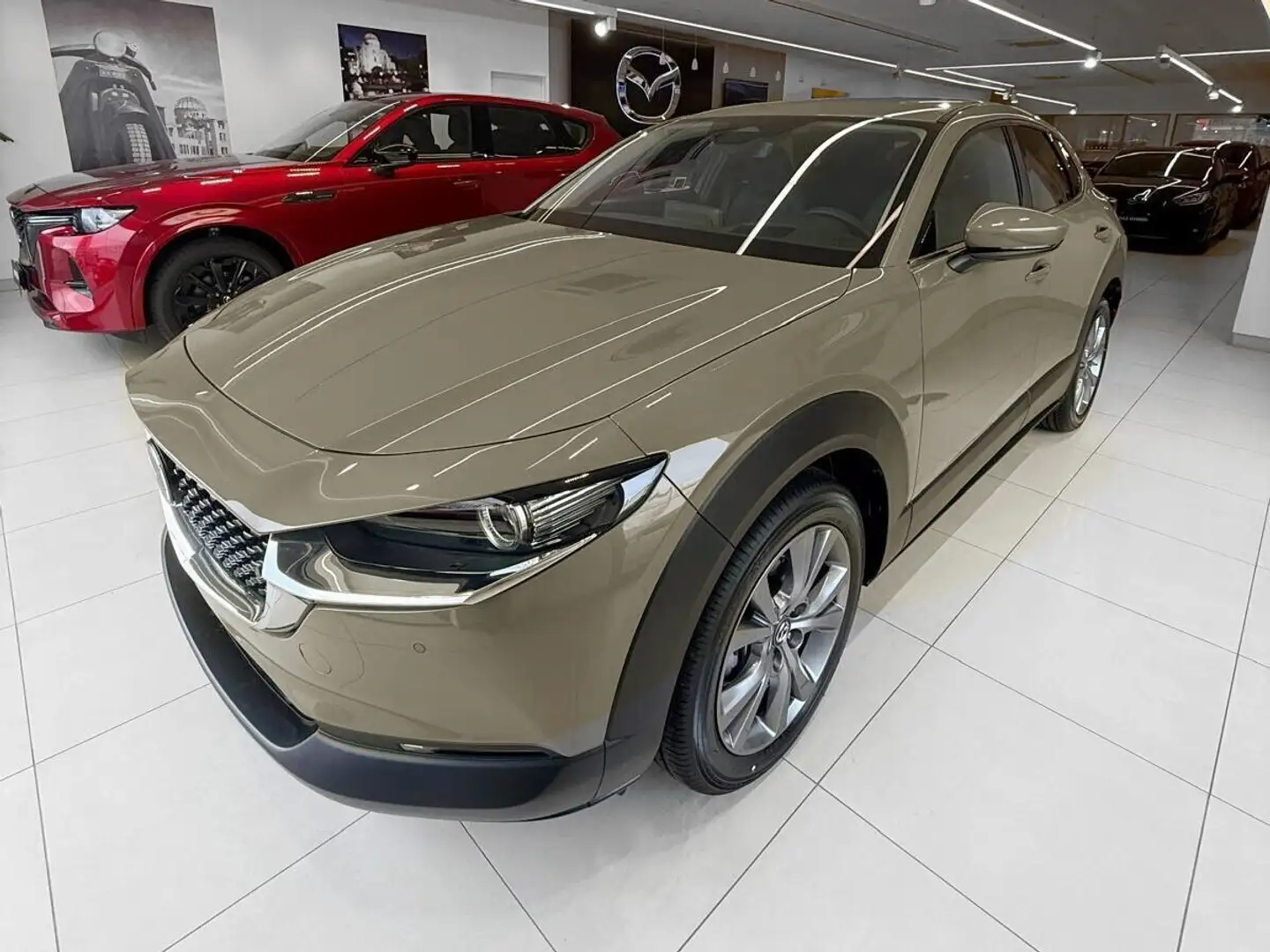 Mazda CX-30 2.0L e-Skyactiv-G 150 CV M Hybrid 2WD Exclusive Li Verde - 2
