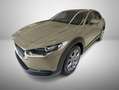 Mazda CX-30 2.0L e-Skyactiv-G 150 CV M Hybrid 2WD Exclusive Li Verde - thumbnail 1