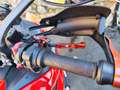 Ducati Multistrada 950 Multistrada 950-2017 Czerwony - thumbnail 9