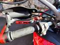 Ducati Multistrada 950 Multistrada 950-2017 Czerwony - thumbnail 8