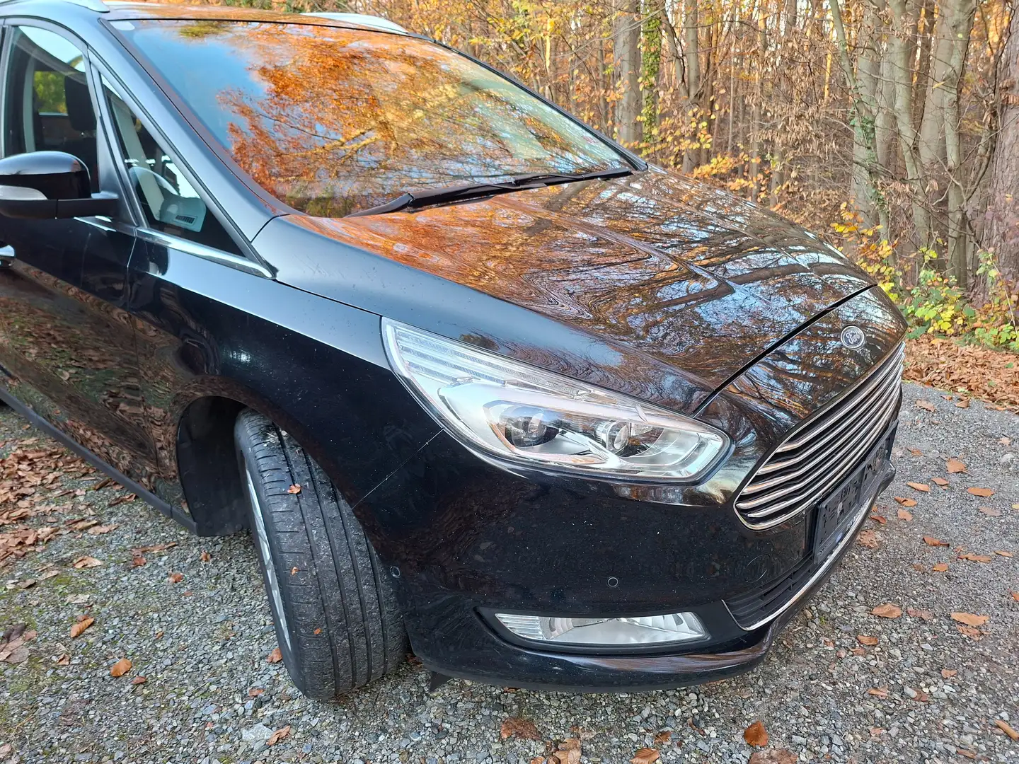 Ford Galaxy Galaxy 2,0 TDCi AWD Titanium Start/Stop Automatik Schwarz - 1