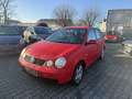 Volkswagen Polo Cricket Rot - thumbnail 4