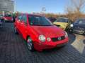 Volkswagen Polo Cricket Rot - thumbnail 5