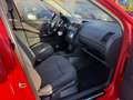 Volkswagen Polo Cricket Rot - thumbnail 6