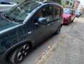 Fiat New Panda pandina - thumbnail 4
