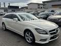 Mercedes-Benz CLS 250 AMG LED+H&K+TOT+SPUR+S.DACH+R.KAM+AHK Blanco - thumbnail 12