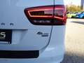 SEAT Alhambra FR 2,0 TDI 4WD 7-SITZER AHK EL. SCHWENKBAR Weiß - thumbnail 13