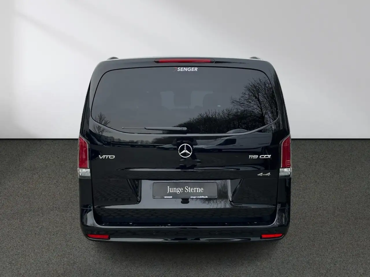 Mercedes-Benz Vito 119 CDI Mixto 4x4 lang Distr. Standhzg 360° 6